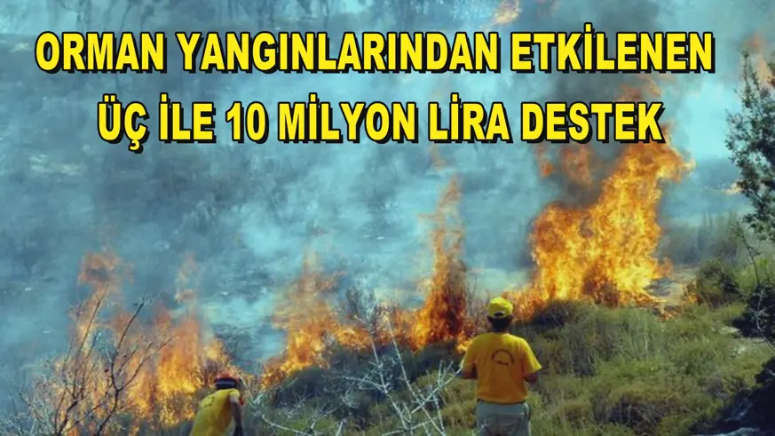 Orman yangınlarından etkilenen üç ile 10 milyon lira destek