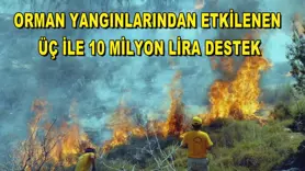 Orman yangınlarından etkilenen üç ile 10 milyon lira destek