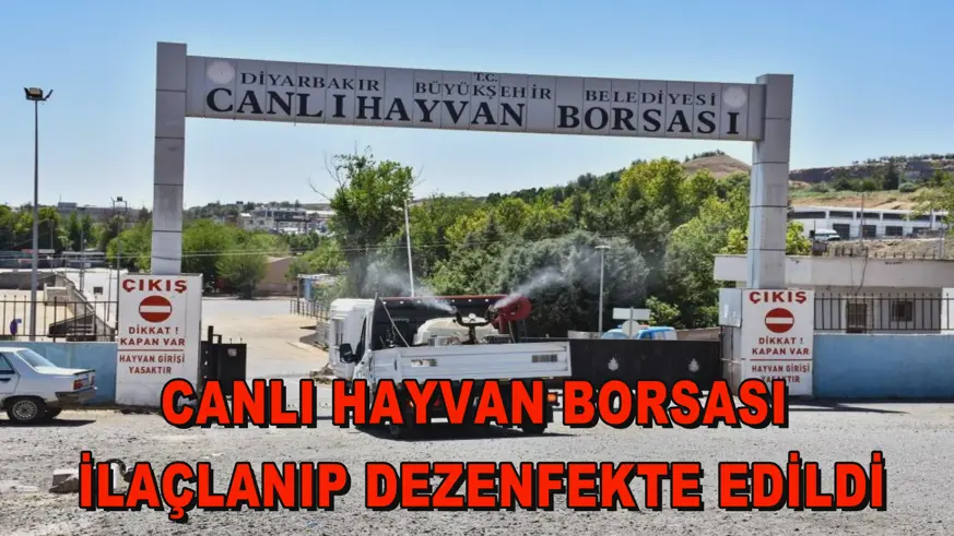 Canlı Hayvan Borsası ilaçlanıp dezenfekte edildi