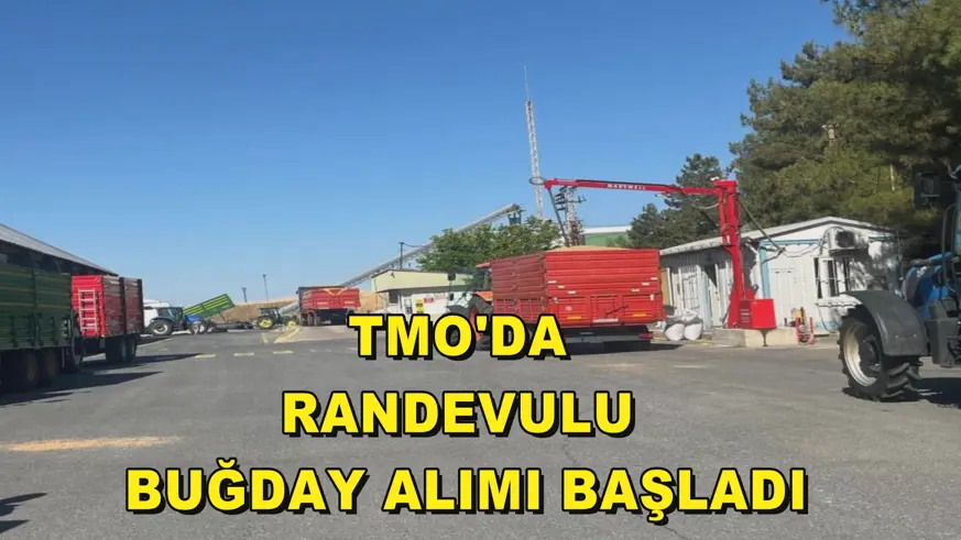 TMO'da randevulu buğday alımı başladı