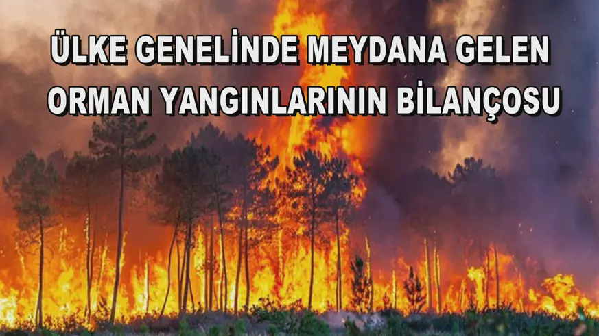 Ülke genelinde meydana gelen orman yangınlarının bilançosu