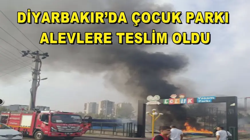 Diyarbakır’da çocuk parkı alevlere teslim oldu