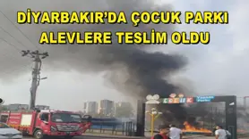 Diyarbakır’da çocuk parkı alevlere teslim oldu