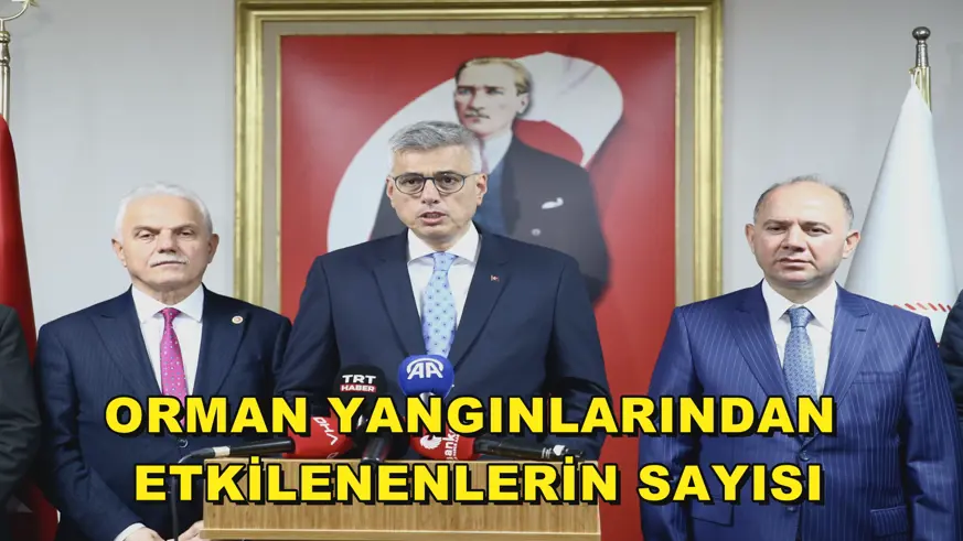 Orman yangınlarından etkilenenlerin sayısı