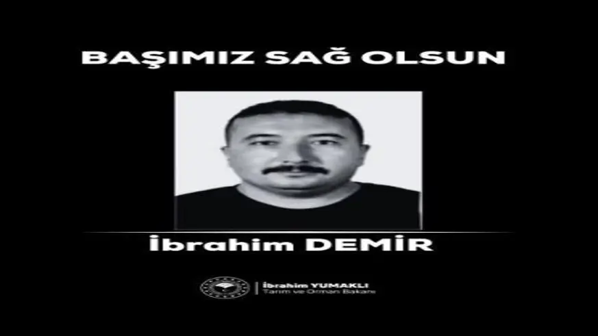 Yeşil vatanı korumak için mücadele verirken şehit oldu