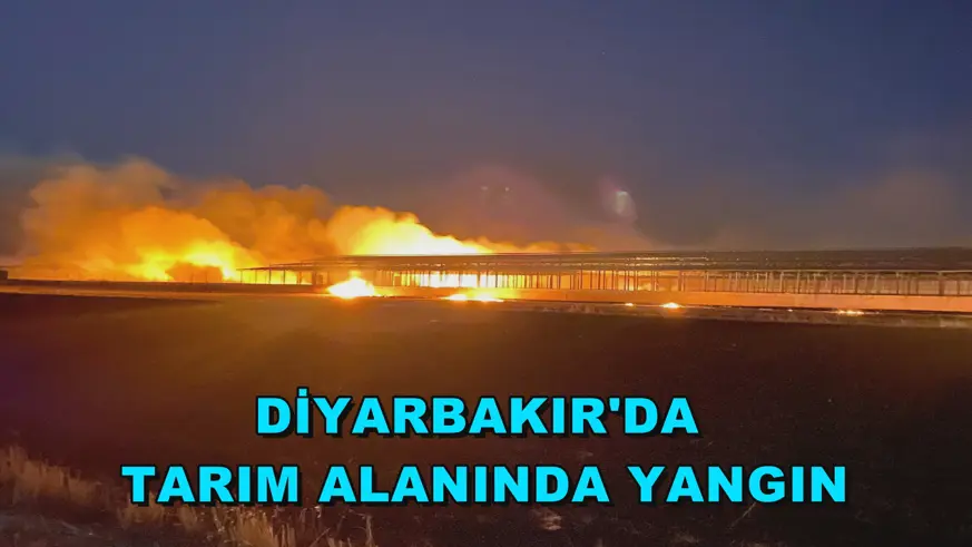 Diyarbakır'da tarım alanında yangın