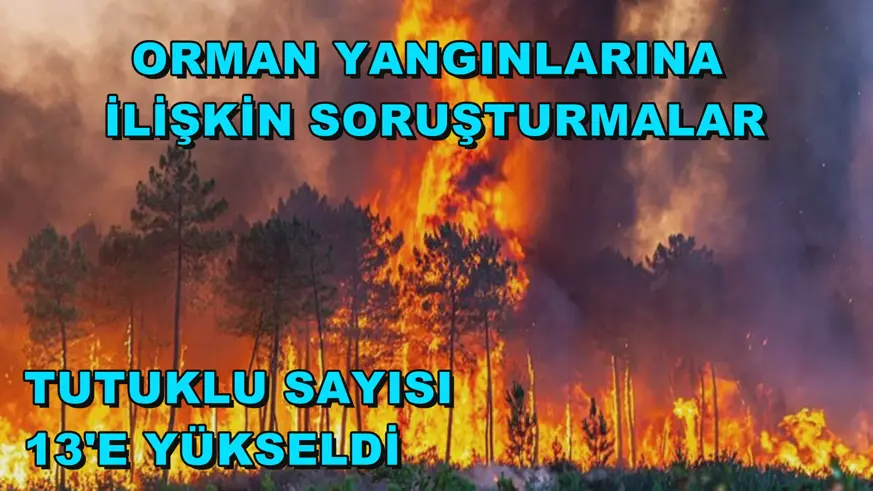 Orman yangınlarına ilişkin soruşturmalar