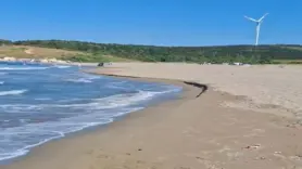 Engelli kızını kurtaran baba boğuldu