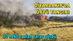 Diyarbakır’da örtü yangını
