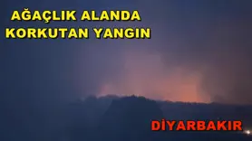 Diyarbakır’da ağaçlık alanda korkutan yangın