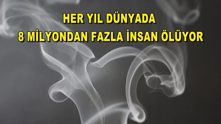 Her yıl dünyada 8 milyondan fazla insan ölüyor