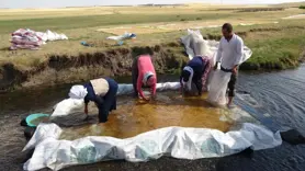 Buğdayın tarladan değirmene yolculuğu