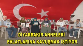 Diyarbakır anneleri evlatlarına kavuşmak istiyor