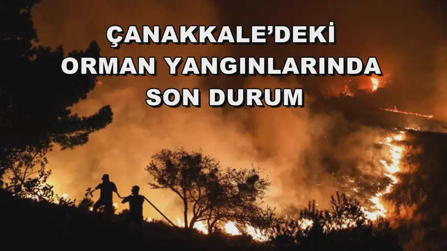 Çanakkale’deki orman yangınlarında son durum