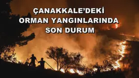 Çanakkale’deki orman yangınlarında son durum