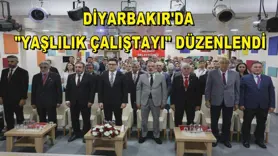 Diyarbakır'da 