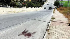 Mezarlık önünde kardeş kavgası cinayetle bitti