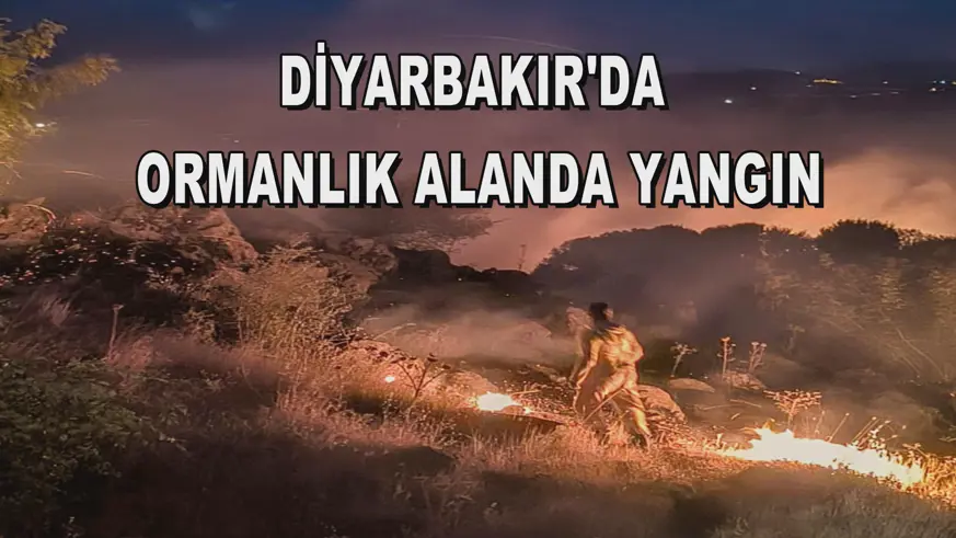 Diyarbakır'da ormanlık alanda yangın