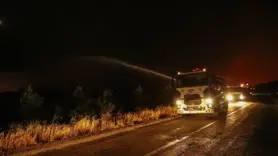 Lice Ve Hani’de Orman Cayır Cayır Yanıyor