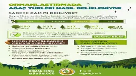 Orman yangınlarından sonra yapılan çalışmalar açıklandı