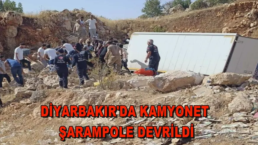 Diyarbakır'da kamyonet şarampole devrildi