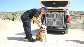 Pusat suçlu Kaçırtmaz!