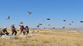 Tunceli’de doğaya 200 kınalı keklik salındı