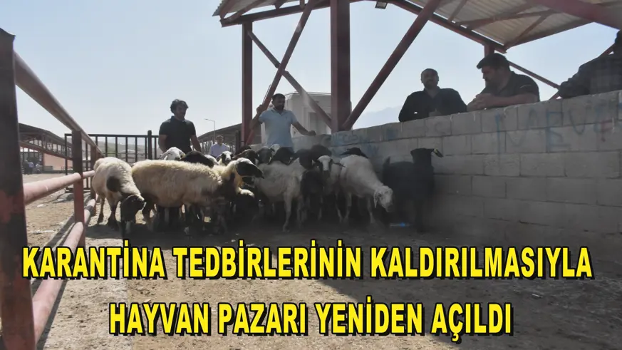 Karantina tedbirlerinin kaldırılmasıyla hayvan pazarı yeniden açıldı