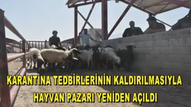 Karantina tedbirlerinin kaldırılmasıyla hayvan pazarı yeniden açıldı