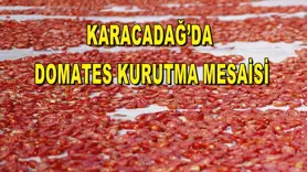 Karacadağ’da domates kurutma mesaisi