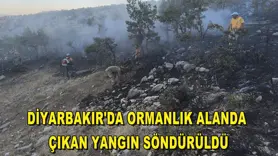 Diyarbakır'da ormanlık alanda çıkan yangın söndürüldü