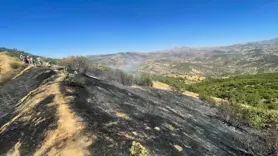 Diyarbakır'da üç farklı noktada yangın