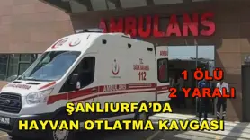 Şanlıurfa’da hayvan otlatma kavgası