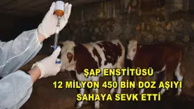 Şap Enstitüsü, 12 milyon 450 bin doz aşıyı sahaya sevk etti