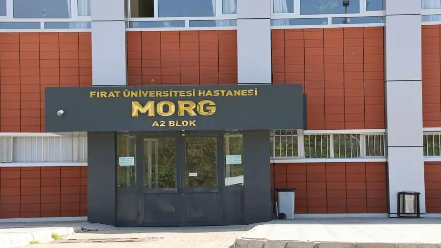 Eşeğin sürüklediği çocuk hayatını kaybetti
