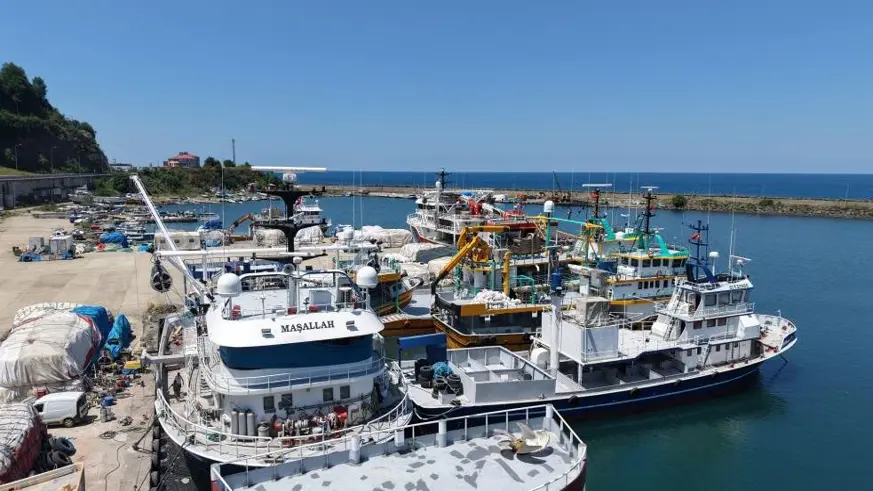 Karadeniz'de balıkçılar yeni av sezonundan umutlu