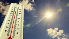 Aşırı sıcaklar nedeniyle son bir haftada 264 kişi öldü