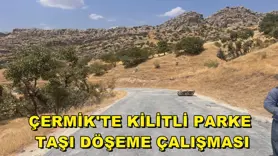 Çermik'te kilitli parke taşı döşeme çalışması