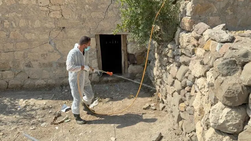 Akreplerin istila ettiği köyde ilaçlama yapıldı