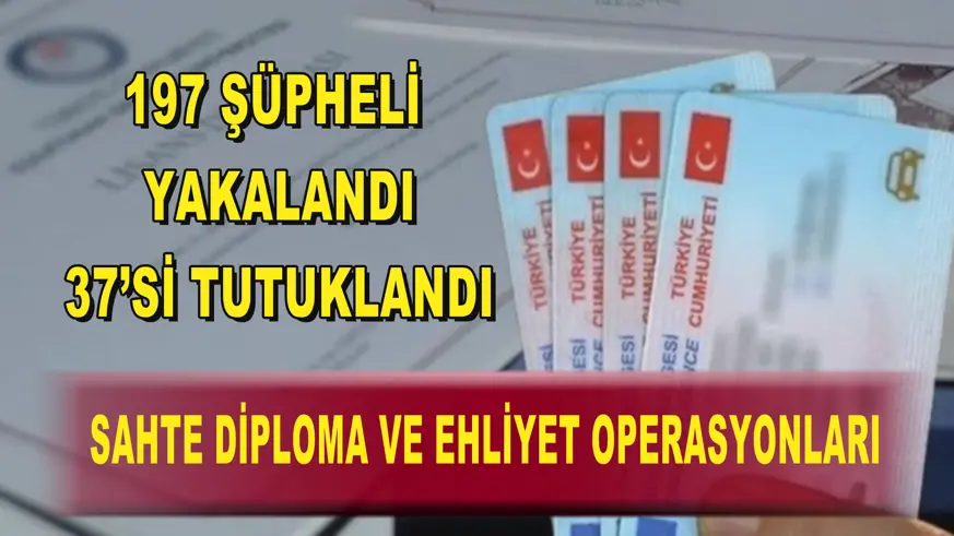Sahte diploma ve ehliyet operasyonları
