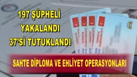 Sahte diploma ve ehliyet operasyonları