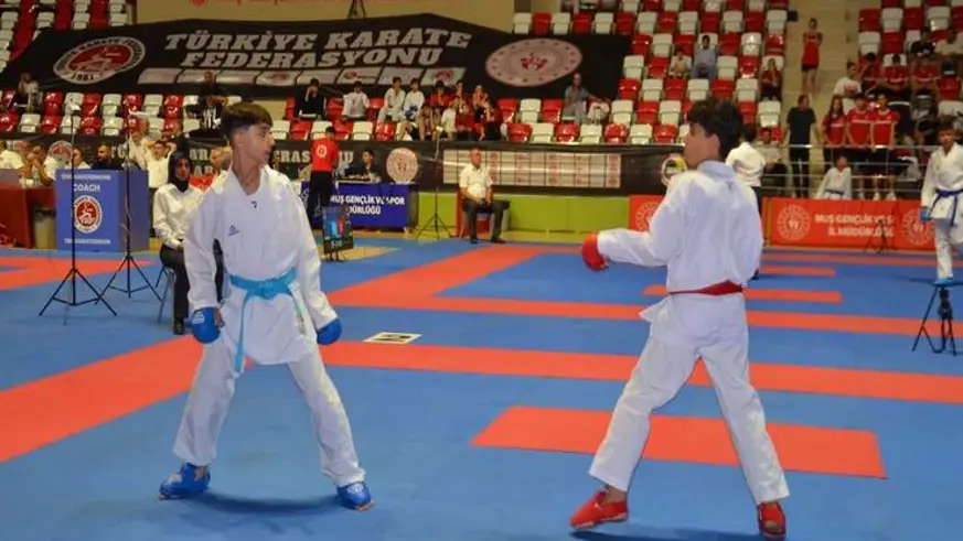 Türkiye Karate Premier Ligi Diyarbakır'da başlıyor