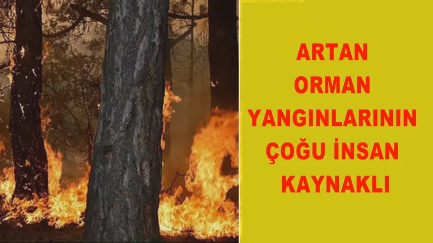 Artan orman yangınlarının çoğu insan kaynaklı