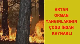 Artan orman yangınlarının çoğu insan kaynaklı