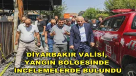 Diyarbakır Valisi yangın bölgesinde incelemelerde bulundu