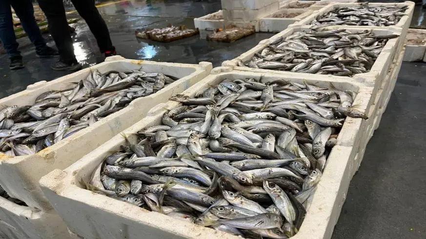 Av sezonu başladı