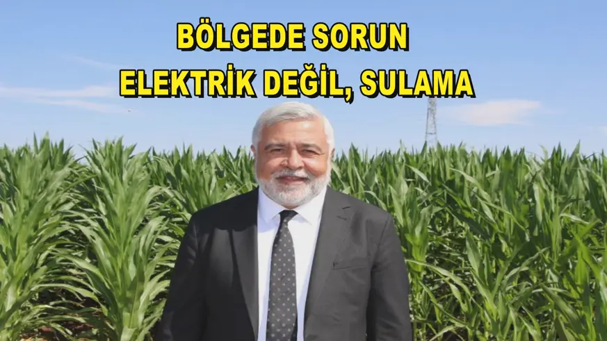 Bölgede sorun elektrik değil, sulama