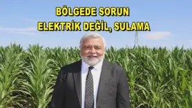 Bölgede sorun elektrik değil, sulama
