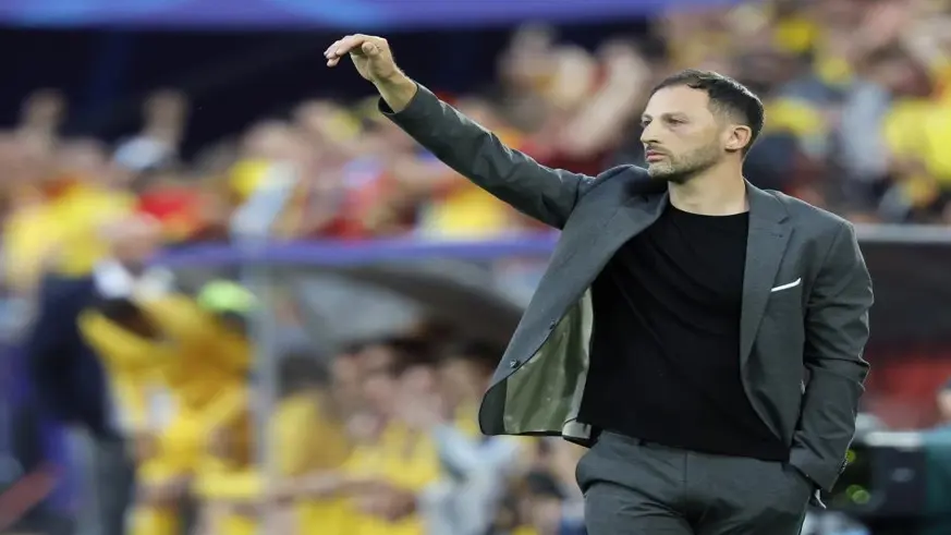Fenerbahçe'nin yeni teknik direktörü
