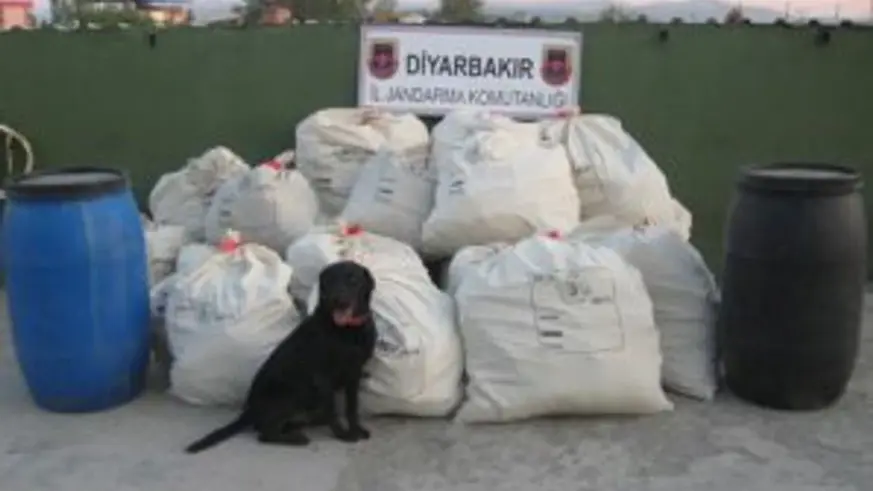 Çeyrek ton uyuşturucu!